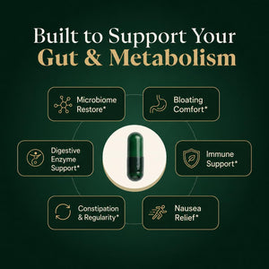 GLP-1 Support Supplement for Nausea, Bloating & Gut Health – Synbiotic Pre, Pro & Postbiotic for Women & Men, GLP-1 Users – Pharmacist Formulated, 20-In-1 (60 Capsules)