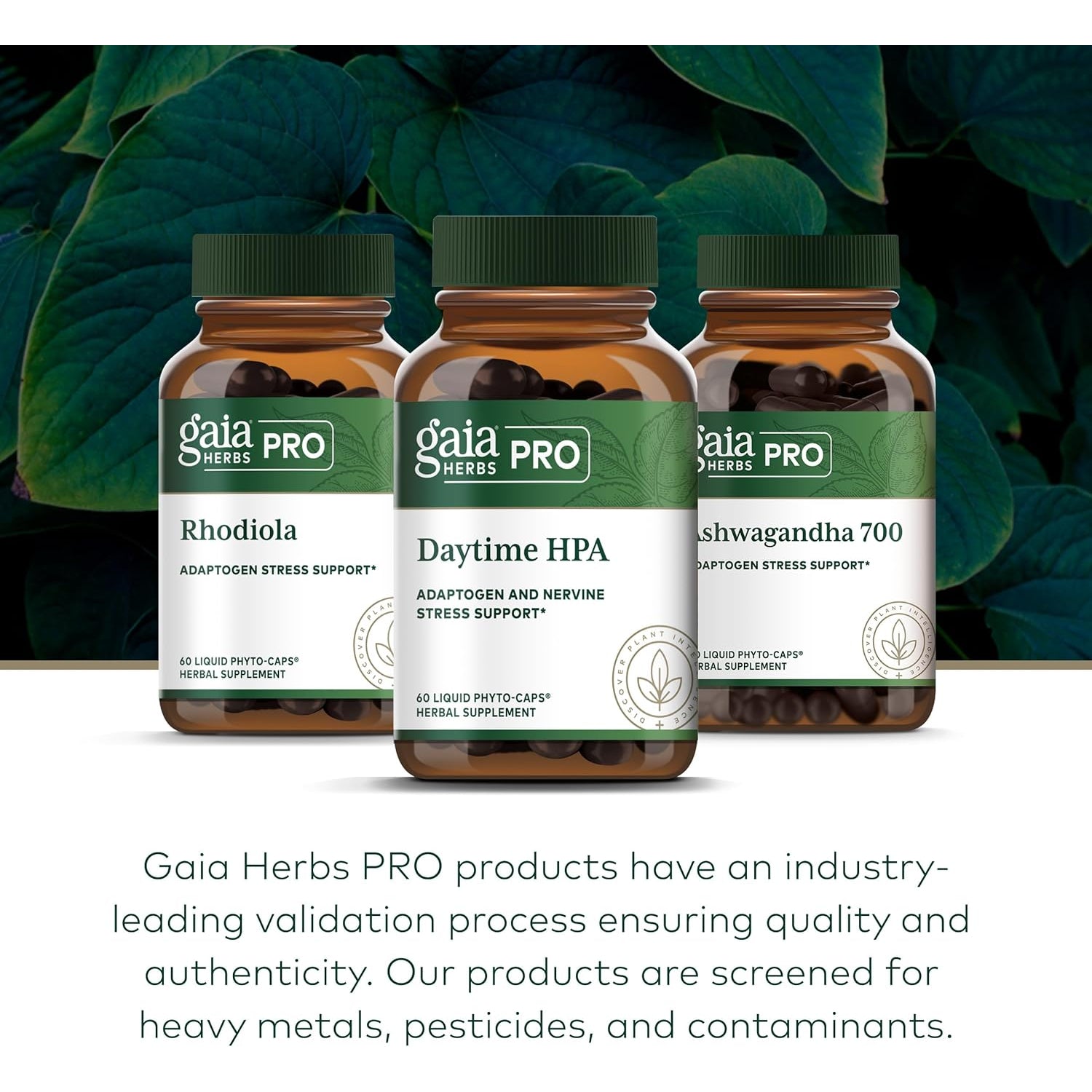 GAIA HERBS PRO Daytime HPA - Adaptogen Support Supplement - Nervous System Support Supplement with Olive Oil & Rhodiola* - Vegan, Gluten-Free, Soy-Free - 120 Liquid Phyto-Caps (60 Servings)
