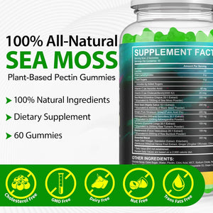 Sea Moss Gummies,With Elderberry Black Seed Oil,Ashwagandha&Ginger,Natural Irish Sea Moss for Immunity & Energy Supplement for Women,Men,Extra Strength,Great Tasting (1 Pack)