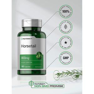 Horbäach Horsetail Supplement | 180 Capsules | Traditional Herbal Extract | Non-Gmo & Gluten Free