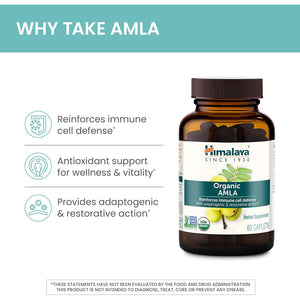 Himalaya Organic Amla - Herbal Immune Support Supplement with Adaptogen and Antioxidant - USDA Organic, Vegan, Non-Gmo, Gluten Free, 600 Mg, 60 Caplets