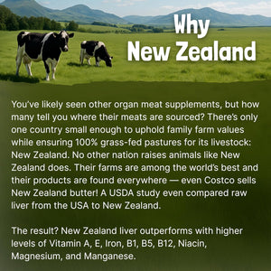One Earth Health New Zealand 100% Grass Fed Beef Organs – (200 Count, 3,000Mg Serving) Liver, Heart, Kidney, Pancreas, Spleen Supplement. Organ Meat Complex Sourced from New Zealand
