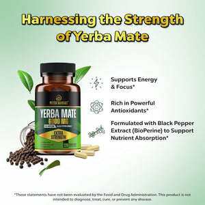 Extra Strength Yerba Mate High Potency, 60Mg Caffeine per Capsule, Extract Pills Supplements for Clean Natural Energy, Made in USA - 120 Caps