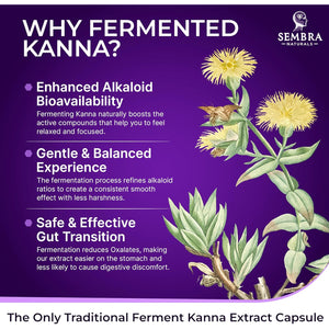 KANNAFOCUS - Natural Kanna Extract 50Mg, Fermented Sceletium Tortuosum & Bioperine® - Focus, Mood & Mental Wellness Support - Herbal Nootropic for Daily Clarity & Energy - 30 Capsules