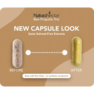 Naturanectar - Bee Propolis Trio Capsules, NSF Certified Premium Brazilian Propolis - Gluten-Free Supplements with More Diverse Flavonoids & PWE - Naturally Sourced through Ethical Beekeeping (60Pcs.)