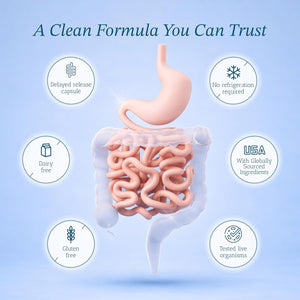 Vitamin Bounty Pro-50 - Probiotics for Women & Men - 50 Billion CFU - 13 Strains Probiotic + Prebiotic - Probiotics for Digestive Health - Delayed Release Capsules - 60 Count