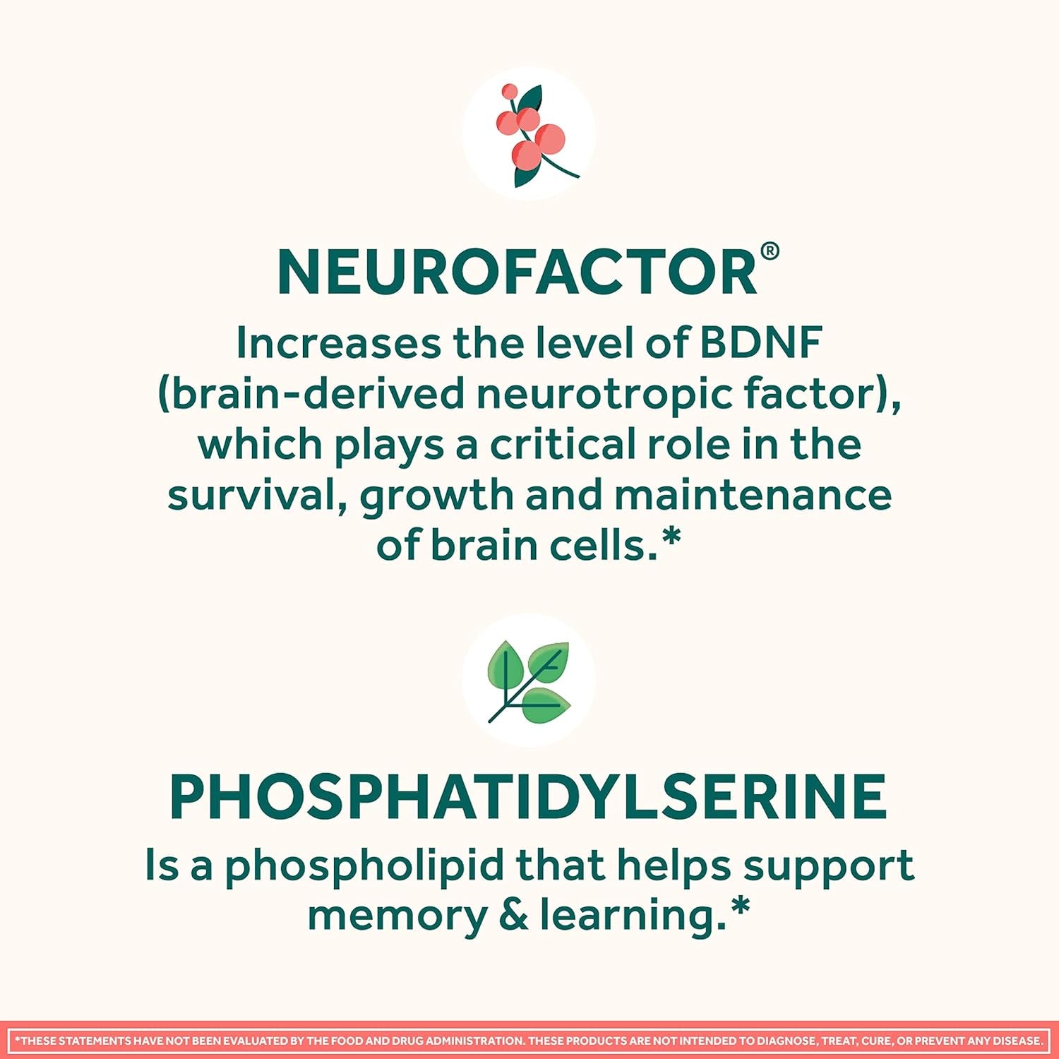 NEURIVA Original Brain Supplements for Memory and Focus, Clinically Tested Nootropics Phosphatidylserine and Neurofactor, Caffeine Free, 50Ct Strawberry Gummies