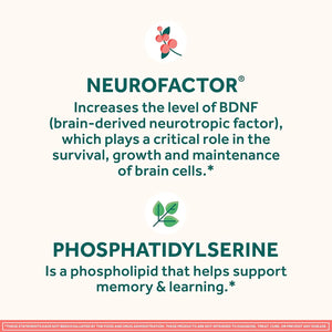 NEURIVA Original Brain Supplements for Memory and Focus, Clinically Tested Nootropics Phosphatidylserine and Neurofactor, Caffeine Free, 50Ct Strawberry Gummies