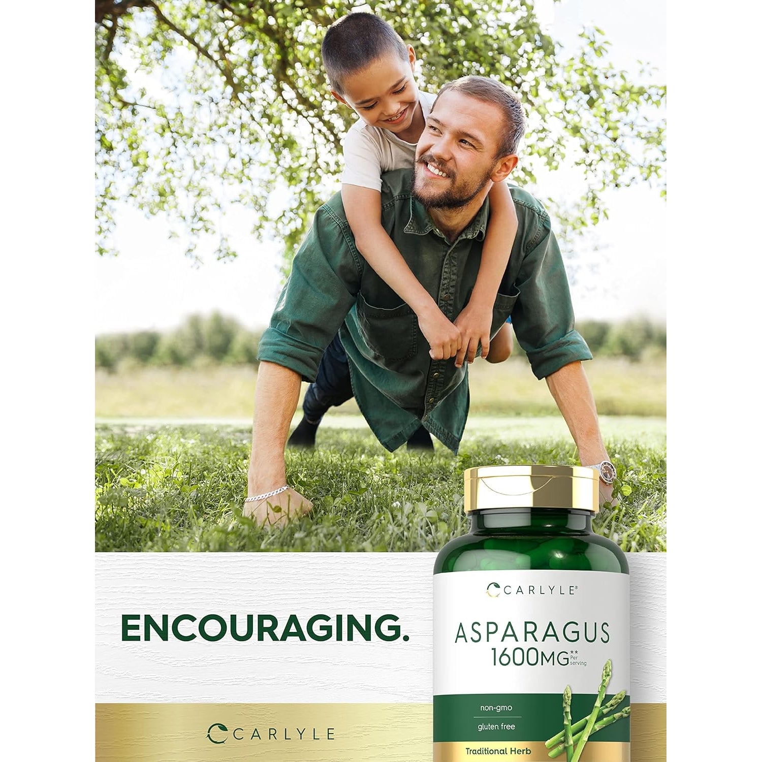 Carlyle Asparagus Supplement | 250 Powder Capsules | Non-Gmo and Gluten Free Formula | High Potency Traditional Herb Extract