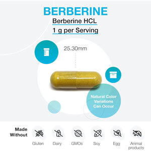 XYMOGEN Berberine - Plant-Based Berberine Hcl Supplement for Cellular Metabolic & Immune Support* - Non-Gmo, Gluten-Free, Vegan - 120 Capsules