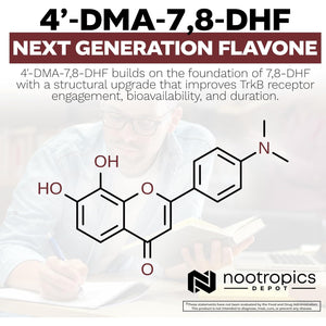 Nootropics Depot 4'-DMA-7,8-DHF Nutritional Supplement Capsules | 10Mg | 30 Count | 4'-Dma-7,8-Dihydroxyflavone