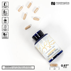 Nootropics Depot Hesperidin Capsules | 500Mg | 60 Count | 90% Citrus Extract | Supports Metabolic Function + Cardiovascular Health