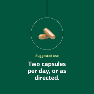 Standard Process - Neuroplex - Supports Nervous and Endocrine Systems - 90 Capsules