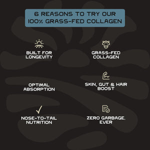 Lineage Provisions 100% Grass Fed Collagen Powder UNFLAVORED – Hydrolyzed Bovine Collagen Peptides with Trachea, Scapula, Eggshell Membrane – Collagen Protein Powder with Vitamin C – 30 Servings