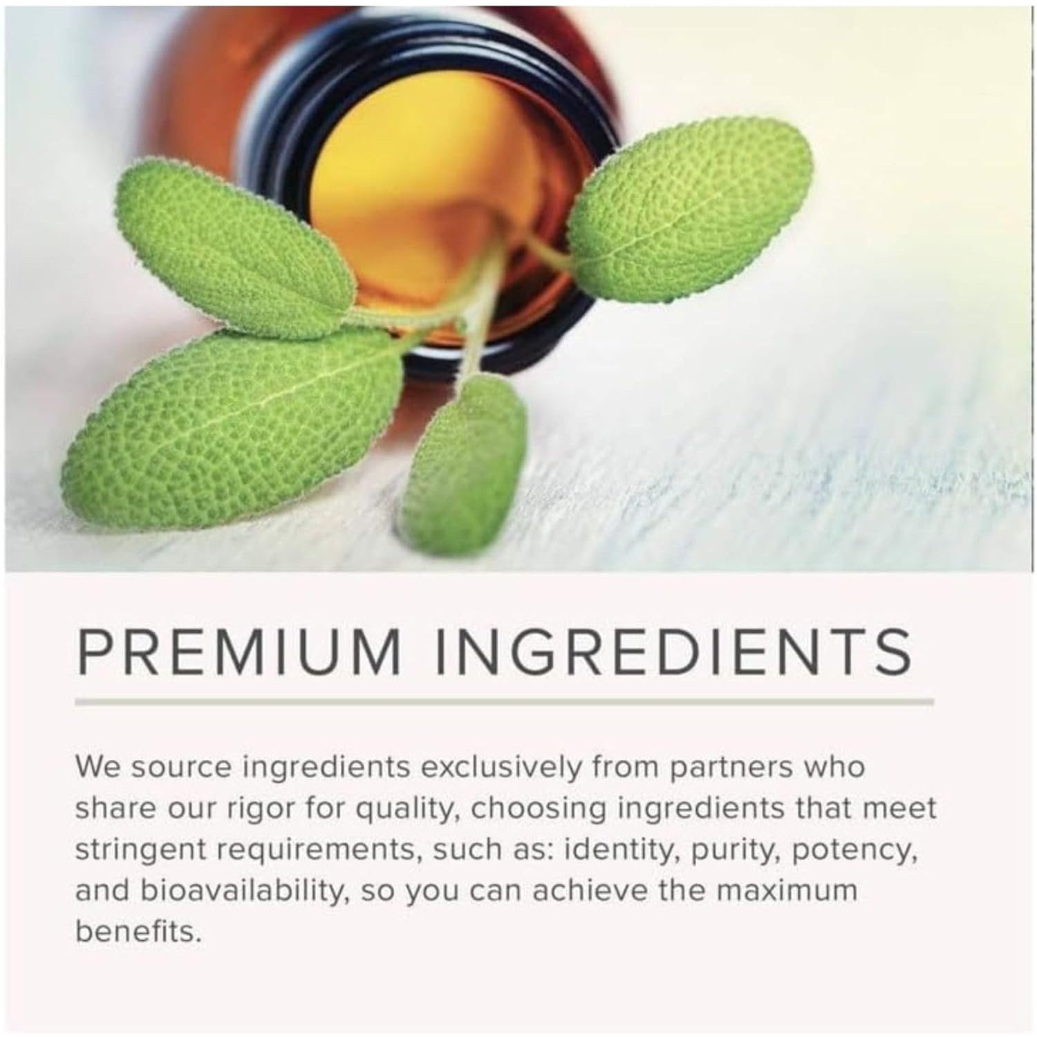 Nusapure Bee Pollen 1500Mg 200 Veggie Caps (100% Vegetarian, Non-Gmo, Vegan) Naturally Occurring Proteins, Aminoacids