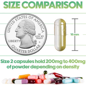 XPRS Nutra Size 2 Empty Capsules - 100 Clear Empty Vegan Capsules - Vegetarian Pill - DIY Vegetable Capsule Filling - Veggie Caps Pills for Do-It-Yourself Supplements