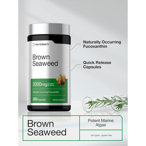 Horbäach Brown Seaweed Extract Capsules | 200 Pills | Fucoxanthin Supplement | Non-Gmo, Gluten Free