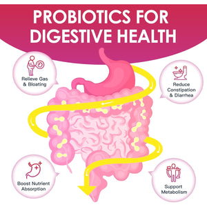 DRFOSTER Probiotics for Women Digestive Health, Vaginal Probiotics 120 Billion CFU 31 Strains with Digestive Enzymes & Prebiotics & D Mannose & Cranberry for Urinary Tract, 90 Capsules