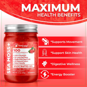 Sea Moss Gel - Wildcrafted Seamoss Gel Superfood - Strawberry Flavor Irish Sea Moss Vitamin and Mineral-Rich from Pristine Caribbean Waters, Immune and Digestive Health Support - 10 Oz.
