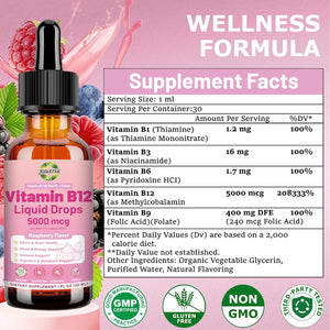 Liquid Vitamin B12 Drops 5000 Mcg - Extra Strength B12 Methylcobalamin with B1 B6 B3 Folate Niacin - Fast Absorption Sublingual B-12 Drops for Energy Metabolism & Brain Function, Vegan B Complex
