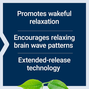 Life Extension Theanine XR™ Stress Relief – L-Theanine – Promotes a Calm Response to Daytime Stress – Non-Gmo, Gluten-Free, Vegetarian – 30 Tablets
