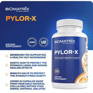 Biomatrix Pylor-X Gut Health Supplement – Mastic Gum, Berberine, Zinc Carnosine & Bismuth Salts for Gastric Support, Digestive Comfort, Stomach Lining Protection - (120 Capsules) 30-60 Day Supply