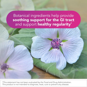 Biocidin Proflora 4R Spore Probiotic - Digestive Health Probiotics for Women & Men - Clinically Researched Bacillus Strains & Organic Aloe, Marshmallow Root for Gut Support (30 Vegan Capsules)
