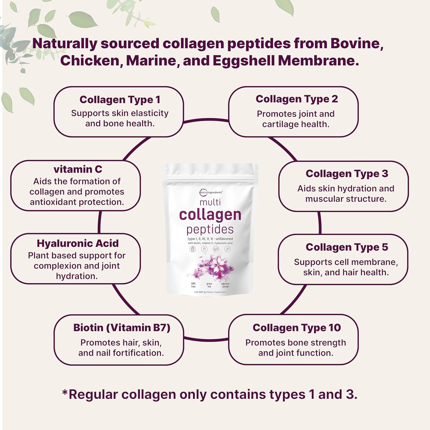 Micro Ingredients Multi Collagen Peptides Powder, 2Lb – Hydrolyzed Type I,II,III,V,X with Biotin, Hyaluronic Acid, Vitamin C – Unflavored Collagen for Women & Men, Easy Dissolve, 82 Servings