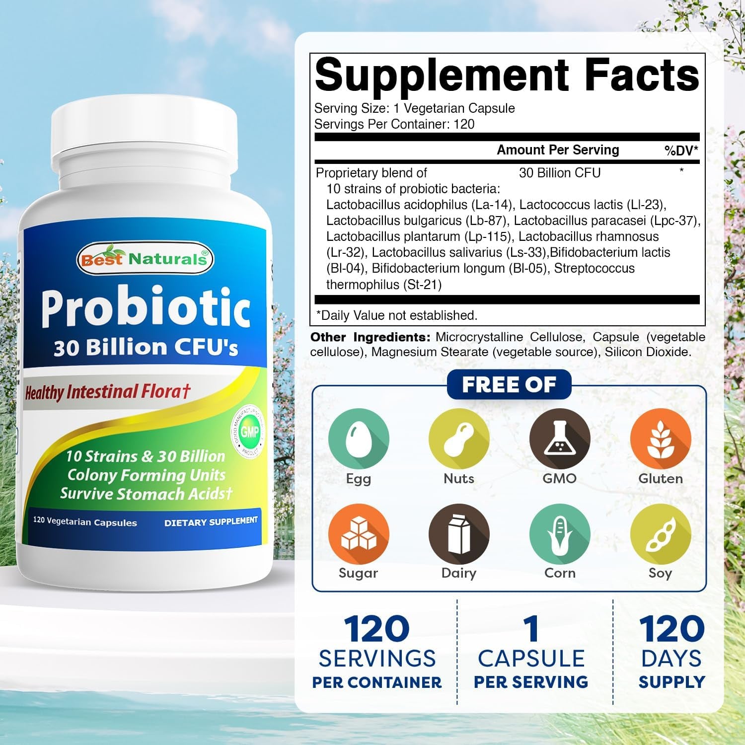 Best Naturals Probiotic 10 Strains & 30 Billion CFU Intestinal Flora, 120 Veggie Capsules - Shelf Stable Probiotic (4146365)