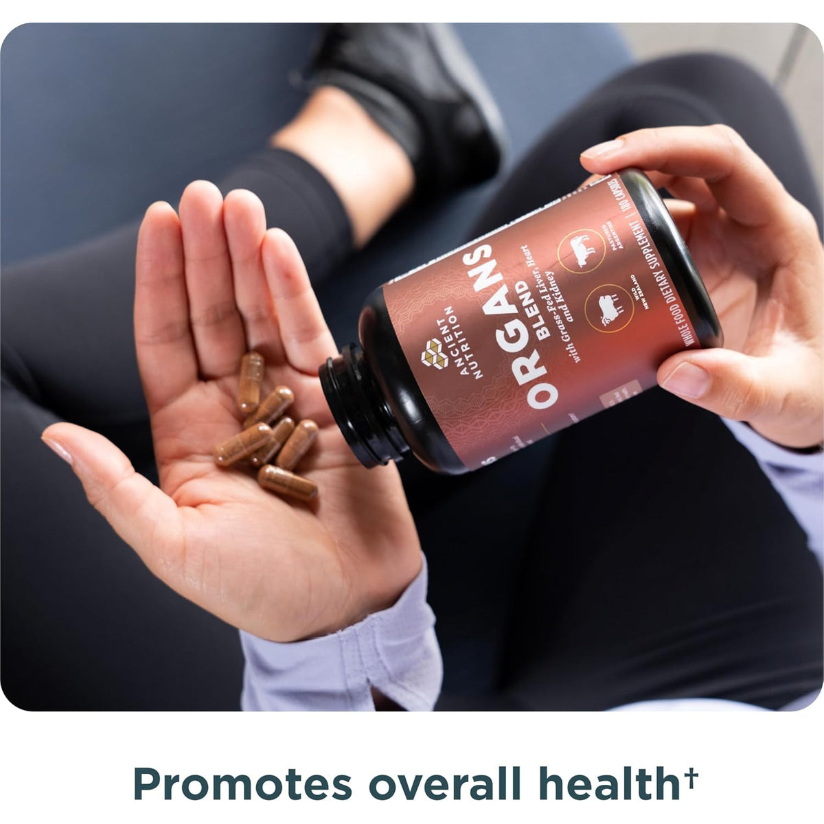 Ancient Nutrition Organ Supplements, Grass-Fed and Wild Organ Complex Capsules, Liver, Heart, Kidney Supports Organ, Cognitive, and Immune System Health, 180 Ct