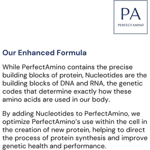 Bodyhealth Perfectamino (300 Tablets) Essential Amino Acid Supplement with BCAA and EAA, Muscle Recovery, Boost Energy & Stamina, 99% Utilization, Vegan Branched Chain Protein Pre/Post Workout