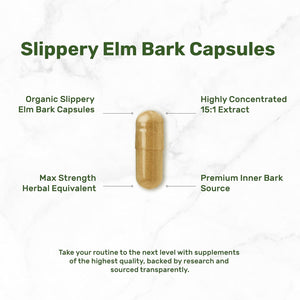 DEAL SUPPLEMENT Slippery Elm Capsules – 300 Pills, Made with Organic Inner Bark Powder Extract – Natural Herb for Soothing Throat & Digestive Support – Non-Gmo