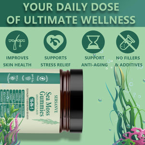 Sea Moss Gummies 16-In-1, with Black Seed Oil, Ashwagandha & Elderberry | Organic Irish Sea Moss Supplement for Men & Women | Daily Support with Manuka, Burdock Root & Vitamins C & D3, 30 Gummies