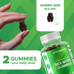 Vitamatic Irish Sea Moss Gummies with Bladderwrack & Burdock Root – Botanical Extract Supplement – Vegan, Non-Gmo – 60 Count