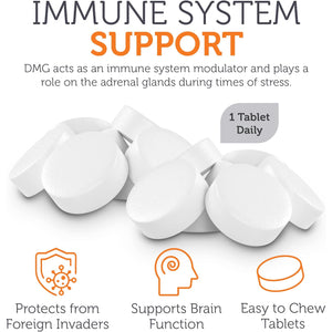 Zahler DMG 500Mg - DMG Dimethylglycine Supplement for Endurance & Immune System Support - DMG Supplements with Amino Acid Glycine - Nootropic Brain Supplement - Kosher 1 a Day Tablets 90 Count