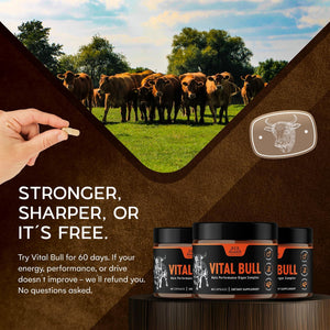 Vital Bull Beef Organ Supplement for Men with Grass Fed Liver, Testicle, Prostate & Bone Marrow – Freeze Dried Beef Organ Capsules for Nutrient Support – 30 Day Supply