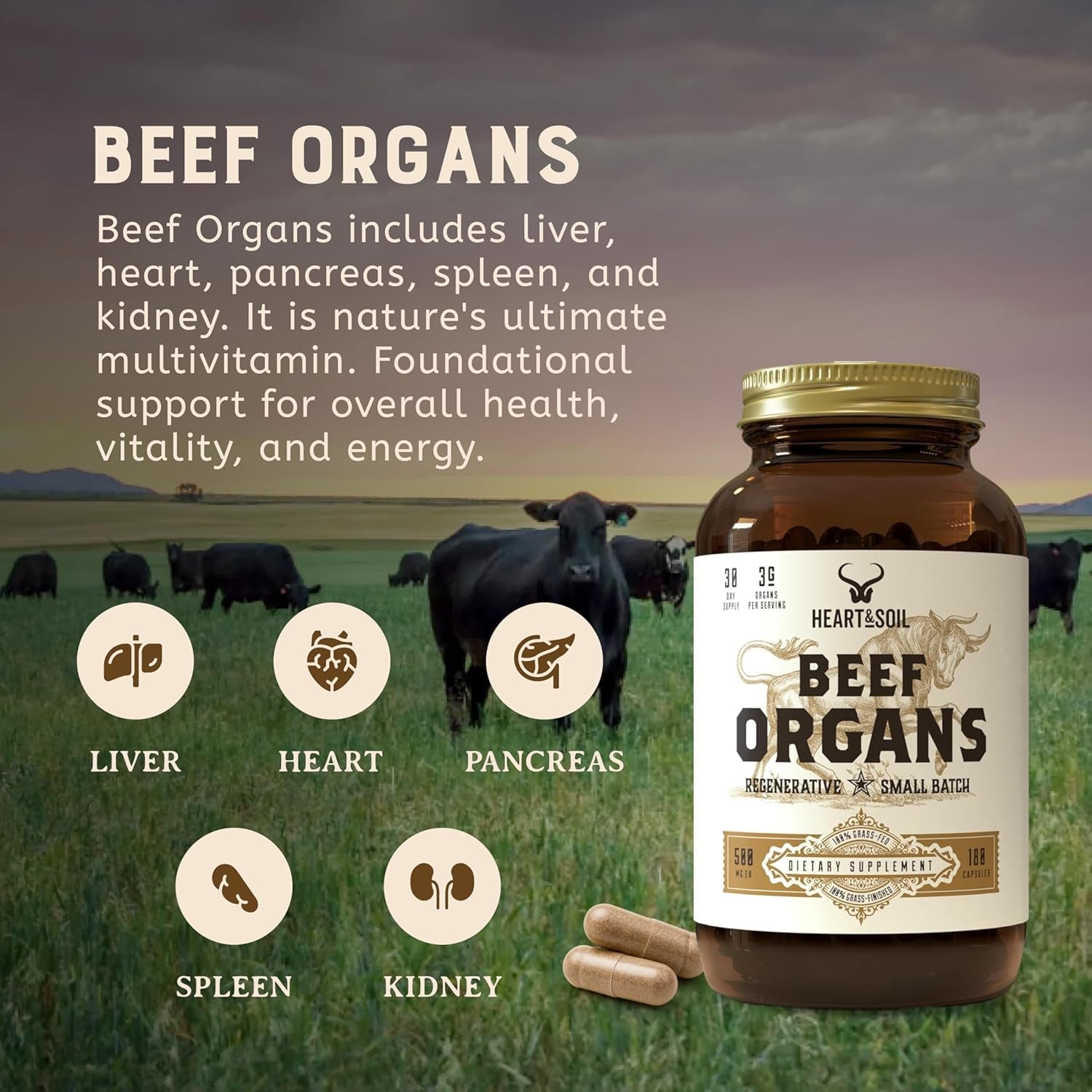 HEART & SOIL – 100% Grass Fed & Finished Beef Organs from Regenerative Cattle with Liver, Heart, Kidney, Pancreas & Spleen – 3000Mg Beef Organ Supplement for Women & Men – Glass Bottle – 180 Capsules