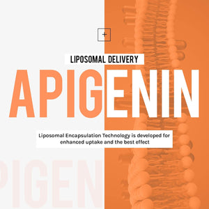 Liposomal Apigenin 500Mg Softgels - Optimal Apigenin Supplement with Fisetin, Quercetin and Theaflavins (60 Count (Pack of 1))