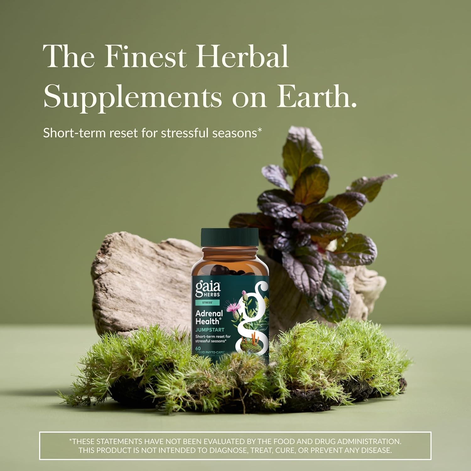 Gaia Herbs Adrenal Health Jumpstart - Helps Sustain Healthy Energy & Stress Levels* - with Cordyceps, Schisandra, Rhodiola & Licorice - 60 Vegan Liquid Phyto-Capsules (30 Servings)