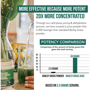 Organic Barley Grass Juice Powder - Grown in Volcanic Soil of Utah - Raw & Bioactive Form, Cold-Pressed Then CO2 Dried – Gluten Free, GMO Free, Vegan - Complements Wheatgrass Juice Powder - 5.3 Oz