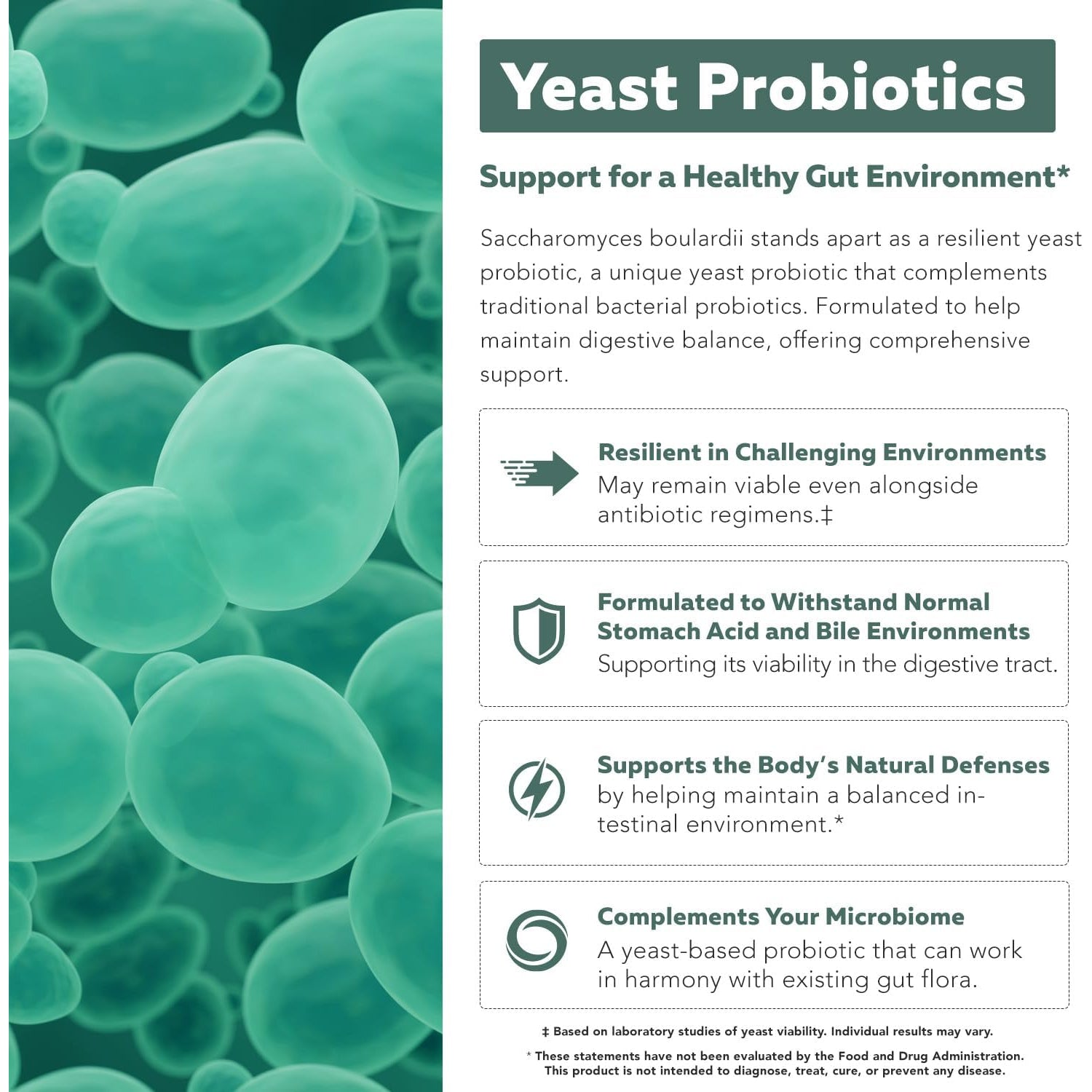 Organic Saccharomyces Boulardii - 10 Billion CFU - Clinically Validated CNCM I-1079 Probiotic Strain - Gut, Digestion & Healthy Bowel Support - First Organic Form of S. Boulardii Probiotic - 60 Count