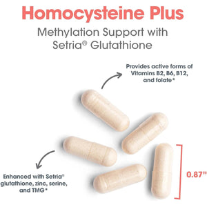 Allergy Research Group Homocysteine plus Supplement - with Setria Glutathione, Vitamin B Complex, Trimethylglycine, Vegetarian Capsules - 90 Count