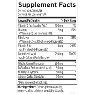 Designs for Health Adrenal Complex (240 Capsules)