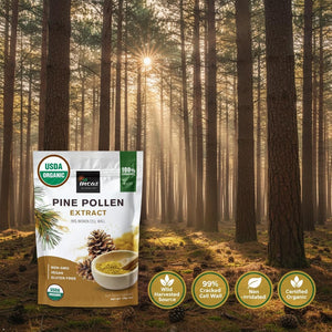 INCAS 100% USDA Organic Pine Pollen Powder (6 Ounces) Non GMO Verified 99% Cracked Cell Wall, Wild HARVESTED, Non-Irradiated, Boosts Energy & Immune Support, No Fillers or Additives