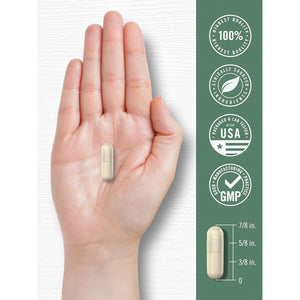Carlyle Red Marine Algae 1600Mg | 200 Capsules | Vegetarian Supplement | Non-Gmo, Gluten Free