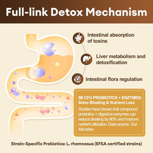 Totaria 2000MG All-In-1 Detox Binder, Activated Charcoal, Zeolite, Bentonite Clay, Alpha Lipoic Acid, 7-Layer Detox & Cleanse Supplement, Liver & Gut Support, 120 Counts