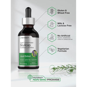 Horbaach Scullcap Herb Tincture | 2 Fl Oz | Liquid Extract Drops | Scutellaria Lateriflora | Alcohol Free, Vegetarian | Super Concentrated Supplement | Non-Gmo & Gluten Free