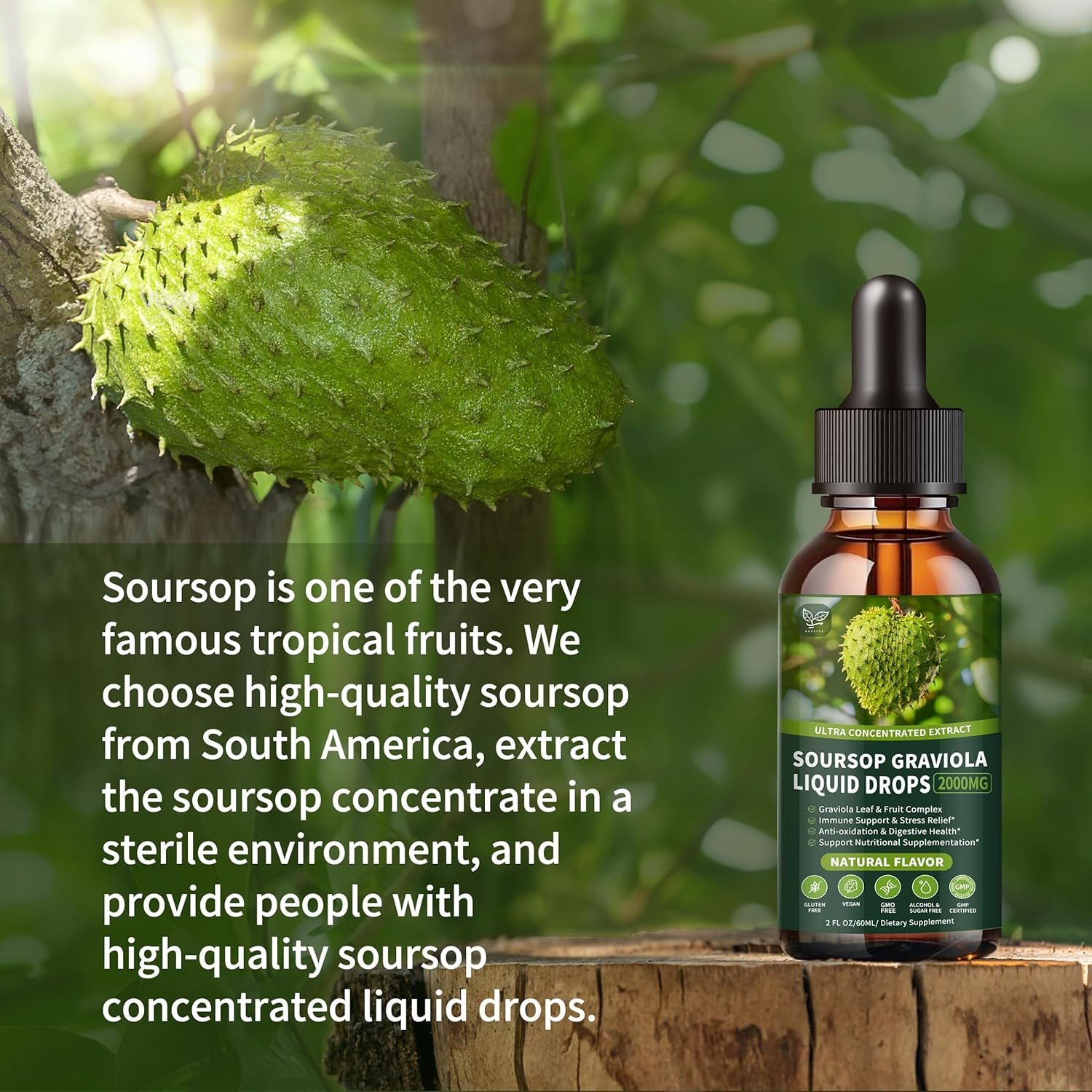 Soursop Graviola Liquid Drops 2000Mg, Organic Soursop Extract - 98% Absorption Soursop Bitters Liquid for Cell Support & Regeneration and Immune Boost, Sugar/Gluten Free, Natural Flavor, 2 Fl Oz