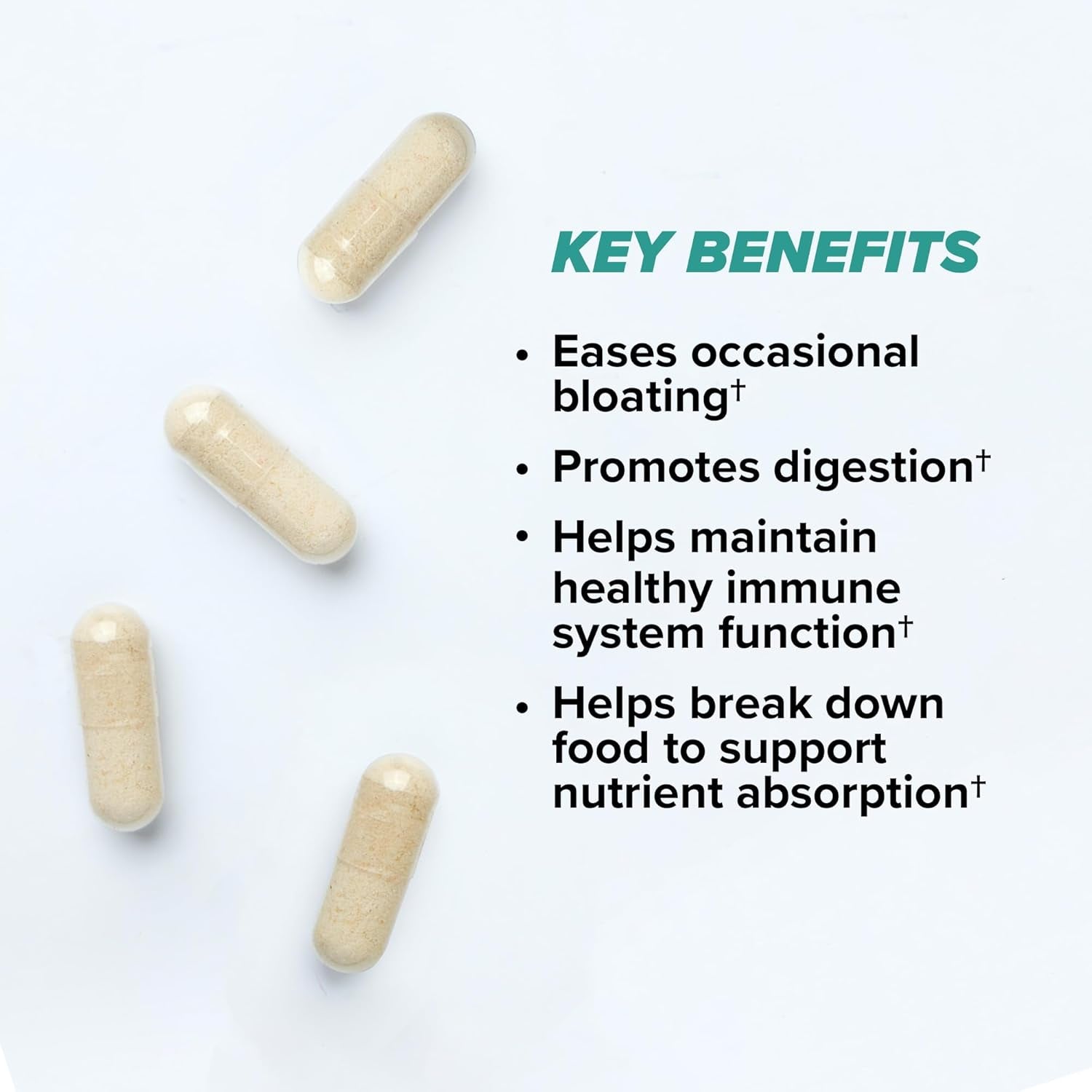 ONNIT Total Gut Health Daily Digestive Support, IGEN™ Non-Gmo Tested Digestion Supplement for Women and Men with 7 Strains of Probiotics, Prebiotics, Enzymes and Betaine HCL, 60 Count