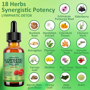 Lymphatic Drainage Drops, 18-In-1 Herbal Lymph System Support W. Echinacea Elderberry Dandelion Burdock Root Cleavers for Lymphatic Cleanse Detox Immune Support, Liposoaml for Max Absorption
